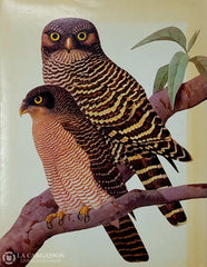 Burton John A. Owls Of The World: Their Evolution Structure And Ecology Livre